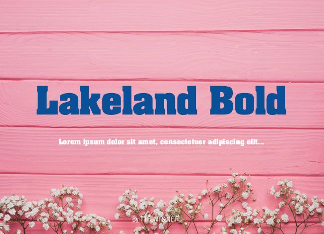 Lakeland Bold example